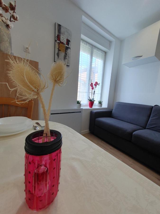 Appart'Hotel, Ikimo 5 Appartements Entiers A Votre Disposition Au Choix ナンシー エクステリア 写真